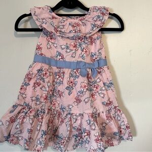 Janie and Jack Toddler Girls Floral Pink Lined Dress Sz 3